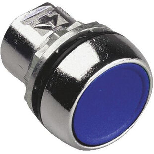 Drucktaster Metall, flach, tastend, unbeleuchtet, Druckplatte Farbe: Blau mit weissem Text Symbol: R