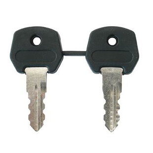 Clés de rechange, Ronis 3901, clé principale pour toutes fermetures Set à 2 clés